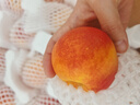 京鮮生彩虹油桃 凈重4.5斤 單果100g+ 新鮮水果 源頭直發(fā) 曬單實(shí)拍圖