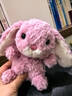 Jellycat粉色郁金香甜美小兔公仔動(dòng)物毛絨玩偶送禮娃娃生日新婚禮物 粉色 One Size 曬單實(shí)拍圖