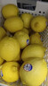 優(yōu)味集進(jìn)口新奇士檸檬【JD順豐現貨速發(fā)】新鮮南非黃檸檬生鮮水果整箱 1斤凈重 商超級大果（單果120g+） 曬單實(shí)拍圖