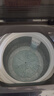 小天鵝（LittleSwan）波輪洗衣機全自動 8公斤 超凈洗 除菌除螨【TB80V27T】家電國家補貼20% 一級能效 以舊換新 曬單實拍圖