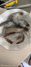 賣(mài)魚(yú)郎先生青島鹽凍大蝦凈重3.6斤 10-15只/斤 白蝦大蝦基圍蝦生鮮 蝦類(lèi) 曬單實(shí)拍圖