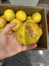 褚橙 云南冰糖橙  珍品果 XXL 10斤裝 單果約200g起 生鮮水果禮盒 曬單實(shí)拍圖