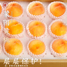 三萌果蔬山東蒙陰黃桃 當季新鮮黃金蜜毛油桃水果現摘次日達桃子送禮 5斤甄選裝【顆顆甄選】?jì)?.5斤 曬單實(shí)拍圖