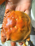 【鮮活特大殘蟹/全母】東方渡興化紅膏精品大閘蟹螃蟹自家養殖 【殘蟹/全母】?jì)糁?斤（大小不一）強烈推薦 曬單實(shí)拍圖