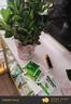 臨雅水培植物九里香盆栽桌面驅蚊綠植室內茉莉鮮花水養花卉懶人四季開(kāi) 水培梔子花2盆9-12棵 曬單實(shí)拍圖