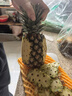 正宗海南金鉆鳳梨新鮮水果當季樹(shù)上熟芒果鳳梨【催熟食用】 1粒裝單果500g-650g【7成熟，催熟再吃】 曬單實(shí)拍圖