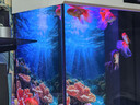 備能*日本黃粉魚(yú)藥+水族鹽+活性硝化細菌魚(yú)缸用殺菌凈水養魚(yú)老三樣 曬單實(shí)拍圖