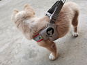 歡寵網(wǎng)狗繩狗狗牽引繩狗胸背帶遛狗牽狗繩狗鏈子背帶寵物大型小型犬小狗 曬單實(shí)拍圖