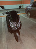 破界猛禽X2高配版150踏板燃油摩托車(chē)2025款新款代步上班長(cháng)途可上牌 黑 曬單實(shí)拍圖