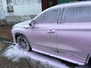 綠田（LUTIAN）粉紅女郎預洗液洗車(chē)液飛雪高泡洗車(chē)水蠟汽車(chē)清潔劑泡沫劑 粉紅女郎 483ml 1瓶 個(gè)人推薦裝 曬單實(shí)拍圖