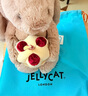 Jellycat害羞生日米色邦尼兔動(dòng)物毛絨玩偶安撫禮物娃娃生日新婚禮物 害羞生日米色邦尼兔 Medium 曬單實(shí)拍圖