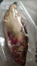 運河生態(tài)桂魚(yú)淡水魚(yú)漁民捕撈新鮮現殺發(fā)貨野生季花鱖魚(yú)鱖魚(yú)桂花魚(yú) 桂魚(yú)1斤 現殺后損耗約15%-20% 曬單實(shí)拍圖