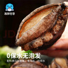 海鮮世家去肚特大鮑魚(yú)12粒裝360g盒裝 免處理 火鍋燒烤食材海鮮生鮮 曬單實(shí)拍圖
