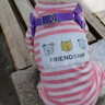 寵星記 寵物四腳衣服 小貓咪狗狗 冬季居家防飄毛 小型犬泰迪比熊雪納瑞 粉色大號 XXL碼 胸圍45-50cm 曬單實(shí)拍圖