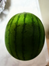 京地達山東禮品手撕小西瓜凈重2.5斤裝1枚源頭直發(fā)包郵 曬單實(shí)拍圖