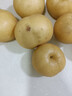 騎猴趕馬山東萊陽(yáng)秋月梨【源頭直發(fā)】水果新鮮送禮團購水果禮盒現摘秋月梨 5斤【商超普裝 | 單果250g+】?jì)糁?.5斤 【老樹(shù)精選果，更好吃】 曬單實(shí)拍圖