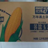 北緯47°黃糯玉米4斤(200g*10根)東北甜黏鮮玉米棒真空包裝  早餐苞米 曬單實(shí)拍圖