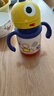 babycare兒童保溫杯嬰兒寶寶吸管水杯霸王龍不銹鋼保溫杯300ml-新舊款混發(fā) 曬單實(shí)拍圖