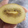 河南西峽黃心獼猴桃新鮮奇異果G3金果獼猴桃當季現摘水果孕婦水果 新西蘭同款黃金奇異果 大果24枚【單果80-100克】 曬單實(shí)拍圖