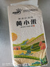 陜西米脂小米 黃小米黑小米 油小米月子米五谷雜糧新米小米粥 米脂黃小米真空裝1000g 曬單實(shí)拍圖