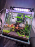鋁合金細化器魚(yú)缸二氧化碳霧化器水草缸造景CO2發(fā)生器擴散器 鋁合金細化器+吸盤(pán)2個(gè)+co2氣管2米 曬單實(shí)拍圖