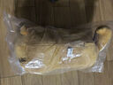 名創(chuàng  )優(yōu)品（MINISO）柴犬系列毛絨公仔趴姿玩具娃娃抱枕睡覺(jué)室內臥室辦公室生日禮物 曬單實(shí)拍圖