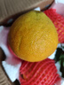 粵迎四川愛(ài)媛38號果凍橙柑橘手剝橙新鮮橙子水果應季時(shí)令桔橘子香甜多 5斤優(yōu)選裝【香甜爆汁】?jì)?.5斤 曬單實(shí)拍圖