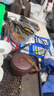 倍思小酷 蘋(píng)果充電器氮化鎵pd20W快充 適用iPhone16e/15ProMax14/13/12/11iPad手機Type-C插頭 琥珀橙 曬單實(shí)拍圖