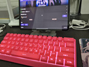 前行者（EWEADN）F61無(wú)線(xiàn)鍵盤(pán)有線(xiàn)藍牙三模靜音辦公機械手感電競游戲便攜電腦筆記本薄膜鍵盤(pán)平板iPad專(zhuān)用 漿果紅 曬單實(shí)拍圖