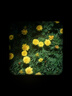 銘匠75f2全畫幅大光圈自動(dòng)對(duì)焦人像鏡頭75mm F2適用E卡口Z卡口LUMIX S5 S9L卡口xm5微單定焦鏡頭 索尼E卡口【銀色】 套餐一【送UV+ND（黑框）】 曬單實(shí)拍圖