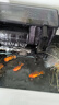 YEE魚(yú)缸過(guò)濾器凈水循環(huán)三合一低音水泵外置瀑布式壁掛制氧一體機10w 曬單實(shí)拍圖