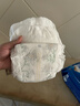 bibi純凈星球pro嬰兒拉拉褲XL5(12-17kg)試用裝超薄干爽便攜尿不濕【品牌直供 安心品質(zhì)】 曬單實(shí)拍圖