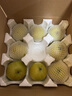 京覓 碭山青皮蜜梨 單果200g起 凈重4.5斤起 生鮮水果 源頭直發(fā)  曬單實(shí)拍圖