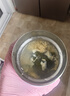 九陽(yáng)（Joyoung） 燜燒杯316L不銹鋼保溫飯盒男女士學(xué)生真空保溫杯悶燒壺罐530ml  曬單實(shí)拍圖