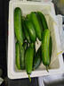 壽光水果黃瓜山東時(shí)令果蔬小青瓜蔬菜火鍋食材清脆爽口產(chǎn)地直發(fā) 水果黃瓜帶箱5斤【劃算】 曬單實(shí)拍圖