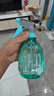 噴壺澆花澆水噴霧器氣壓式噴水壺家用園藝養(yǎng)花500ml 南瓜噴壺透藍【1個裝】 曬單實拍圖
