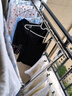 妙立折疊晾衣架落地免安裝室內(nèi)外陽臺臥室不銹鋼伸縮桿式曬被子神器 【加固款】雙桿1.6米+大禮包 曬單實拍圖