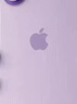 Apple/蘋果 iPhone 17 512GB 薰衣草紫色 支持移動聯通電信5G 雙卡雙待手機 曬單實拍圖