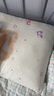 潔麗雅（Grace）枕芯枕頭 頸椎枕分區針織按摩枕水立方中枕45*70cm 白色 單只裝 曬單實(shí)拍圖