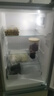 上菱183升雙開(kāi)門(mén)冰箱小型出租房2-3人用 出租屋家用兩門(mén)二門(mén)小戶(hù)型雙門(mén)電冰箱以舊換新BCD-183D 曬單實(shí)拍圖