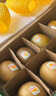佳沛（zespri）新西蘭陽(yáng)光金果10個(gè)裝單果重約101-124g 中秋水果禮盒 獼猴桃 曬單實(shí)拍圖