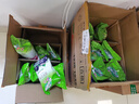 雀巢（Nestle）沖飲果汁 果維C+ 果汁840g 富含維生素C 果汁粉 黑加侖味840g 曬單實(shí)拍圖