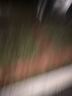 圣羅蘭（YSL）夜皇后精華液修護保濕護膚品化妝品禮盒生日禮物送女友中秋禮品 曬單實(shí)拍圖