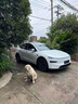 3M汽車(chē)貼膜 朗清系列 前淺后深適用于特斯拉modelY/3玻璃車(chē)膜太陽(yáng)隔熱窗膜轎車(chē)SUV 包施工  曬單實(shí)拍圖