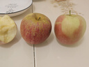 京覓四川大涼山丑蘋(píng)果 凈8斤 單果80mm+ 新鮮水果冰糖心蘋(píng)果 源頭直發(fā) 曬單實(shí)拍圖