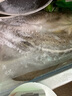 仙泉湖三去白蕉海鱸魚(yú)1斤/條凈膛冷凍刺少肉厚珠海特產(chǎn)500g生鮮中秋食材 曬單實(shí)拍圖