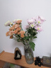 【小雛菊】供佛超長(cháng)花期鮮花基地直發(fā)好打理菊花多色七夕節禮物 小雛菊混搭顏色10枝 曬單實(shí)拍圖