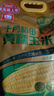 十月稻田 黃糯玉米 3.52斤(220g*8根) 25年新玉米 低脂 早餐零食 東北玉米 曬單實(shí)拍圖