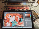 XPPen Artist Pro19(4K)數位屏 手繪屏 電腦專(zhuān)業(yè)繪畫(huà) 連接電腦筆記本手繪板AP19手寫(xiě)板電子繪畫(huà)板 曬單實(shí)拍圖