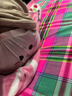 尼多熊兒童內(nèi)褲女中大童A類平角純棉嬰兒不夾pp透氣舒適四角短褲 M碼 曬單實拍圖